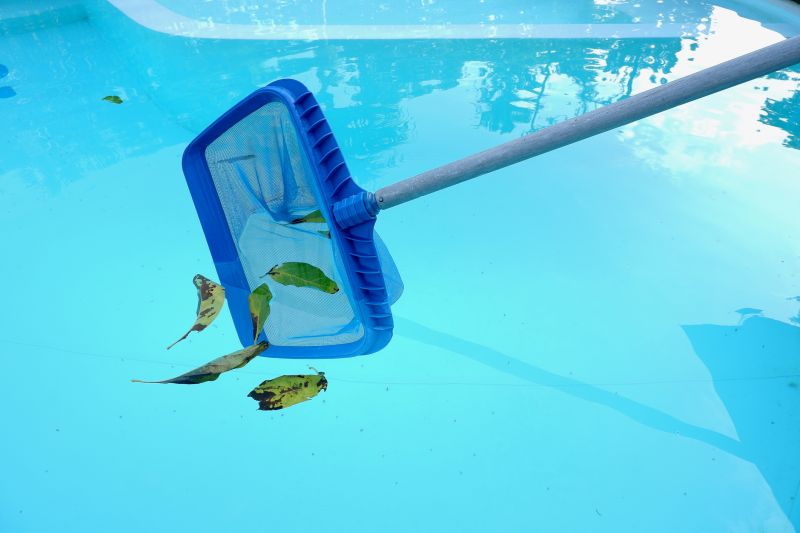 Pool Algae Removal